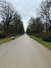 road in the park