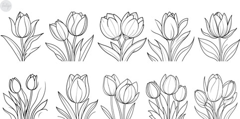 set of tulips coloring page and outline clipart vector design