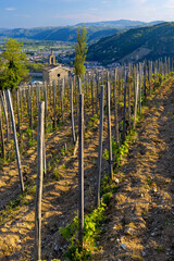 Grand cru vineyard and Chapel of Saint Christopher, Tain l'Hermitage, Rhone-Alpes, France
