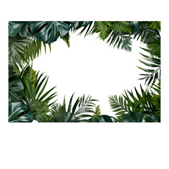 Tropical leaves foliage plant bush floral arrangement isolated on transparent background