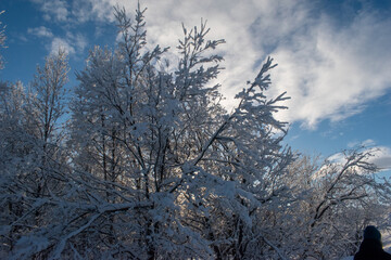 Idyllic panoramic cold winter view in the arctics with lot of snow and blue sky.