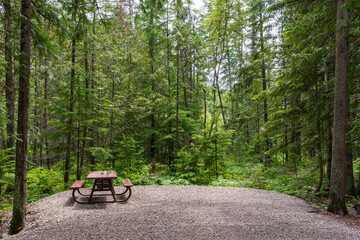 Beautiful, lush campsite in British Columbia, Canada