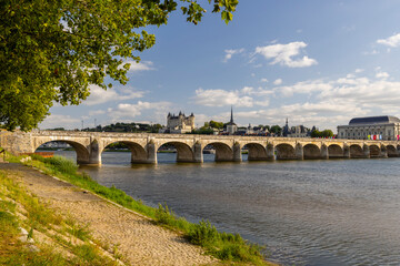 Fototapeta na wymiar Chateau de Saumur (Saumur Castle), Pays de la Loire, France