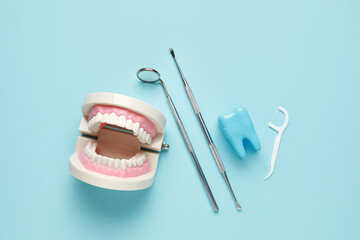 Jaw model, dental tools and floss toothpick on blue background. World Dentist Day