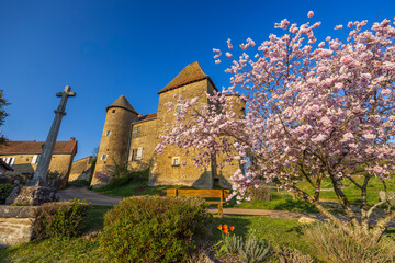 Chateau de Bissy-sur-Fley too Chateau de Pontus de Tyard, Bissy-sur-Fley, Burgundy, France