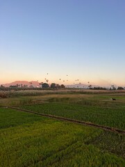 Montgolfi&egrave;re &agrave; Louxor
