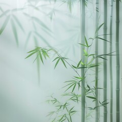 Very foggy white glass, behind the glass there is bamboo, leaves are visible that touch the glass.
