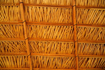 Dried palm leaves roof to a building, background image, view from below. Tapajos Arapiuns...