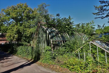 Fototapeta na wymiar abandoned greenhouse coverd in invasive vegetation