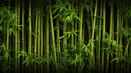 Lush Green Bamboo Wall Texture Background with Natural Vibes and Serene Aesthetics