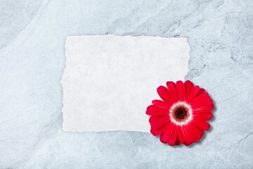 Red fresh aroma flower with Remembrance Day card