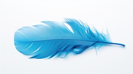 Ethereal Blue Feather: Delicate Beauty on a Serene White Background