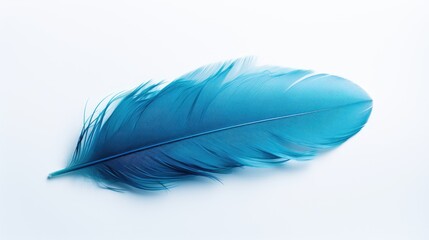 Elegant Blue Feather Floating Gracefully on a Clean White Background
