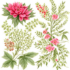 floral pattern vegetation - 740287050