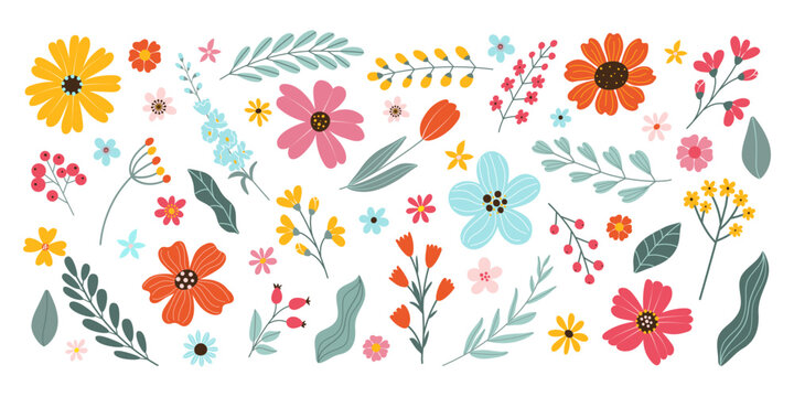 Set isolated hand drawn spring and summer flowers. Blossom flowers, leaves, branches, berries, tulip. Flat vector herbal illustration on white background