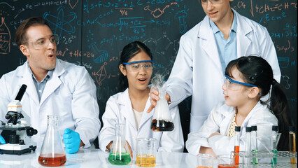 Girl looking at beaker while doing experiment at blackboard with chemistry theory in STEM class....