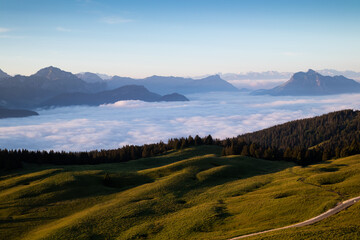 landscape in the morning