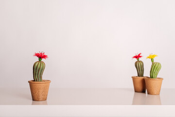artificial cactus flower in a beautiful beige pot on a light background