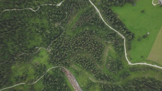 Ripresa del bosco in montagna con drone