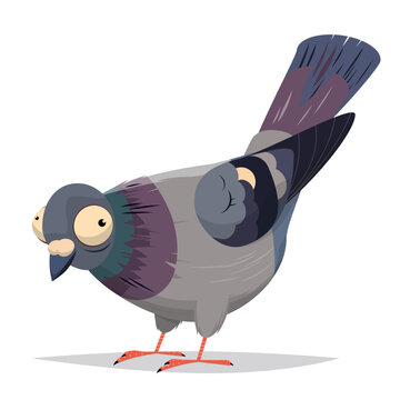 funny cartoon illustration of an ugly pigeon