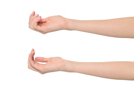 Female hand in a begging gesture, isolated on transparent background, png file
