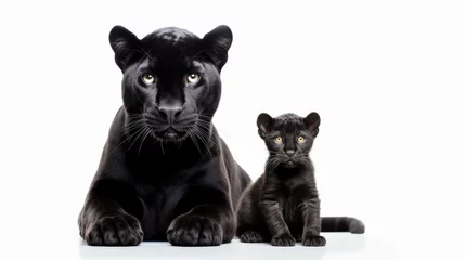 Foto auf Alu-Dibond Majestetic black Panther with baby © Birgit Reitz-Hofmann