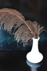 Home furnishings, style, white ceramic vase with large grey ostrich feather set on black glossy background.