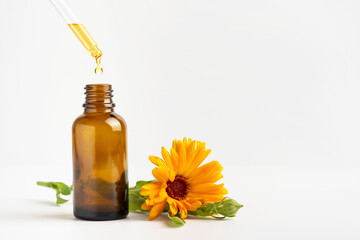 Calendula flowers and amber glass dropping bottle with essential oil. Marigold medicinal plant,...