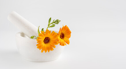 Calendula officinalis flowers in mortar on white background. Marigold medicinal plant, herbal medicine, naturopathy and phytotherapy. Ingredient for natural beauty products and cosmetics.
