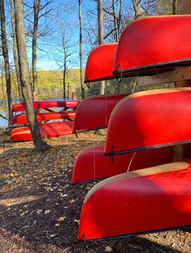 Red canoes on wooden supports. Forest in autumn. Nautical boat rental, river canoe, rabaska in a national park. Outdoor center for camping and fishing.