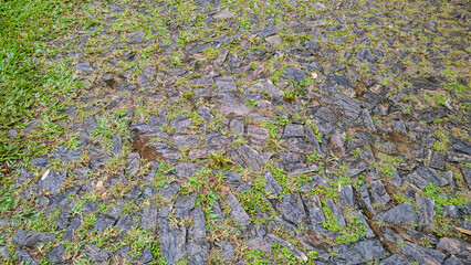 cloudy cloud rain water stone rock vegetable flower leaf plant grass texture puddle path trail ladder walk garden sconce bush bush forest tree valley mountain hill forest nature ivy trash can landscap