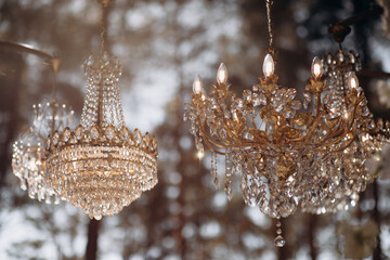 Luxurious crystal chandeliers in the middle of a pine forest in the glow of the sunset. Fabulous wedding decor with chandeliers.