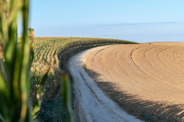 Dirt road in the countryside running between the green corn field and freshly ploughed land. Agricultural summer scenery. Selective focus.