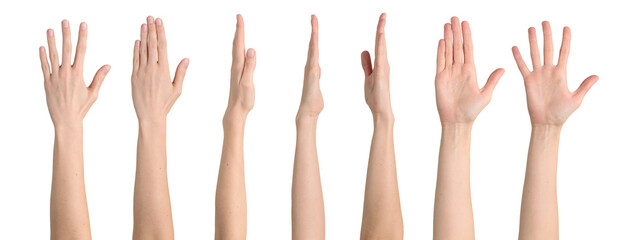 Female straight hand from different angles isolated on transparent background, png file