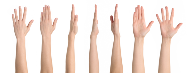 Female straight hand from different angles isolated on transparent background, png file