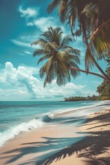 palm trees on the beach