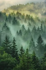 Fotobehang Forest in morning light, mist weaving through evergreens, casting dreamlike glow over vibrant green landscape © HY