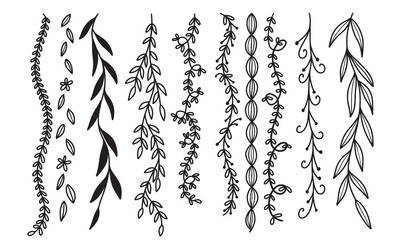 Doodle vertical plants, hand drawn botanical elements illustration, flourish border collection © Qidsign