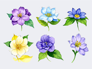 Flower vector watercolor flowers floral vector