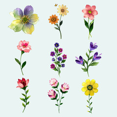 Flower vector watercolor flowers floral vector