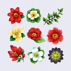 Flower vector watercolor flowers floral vector