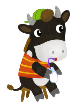 cartoon scene with happy farmer ranch cow bull sitting in dungarees and drinking milk illustration for children