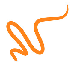 hand drawn orange line squiggle