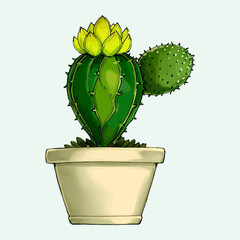 Cactus vector watercolor Cactus pots floral vector
