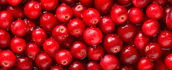 Fresh cranberries fruit, with water drops over it, closeup macro detail. Generative AI