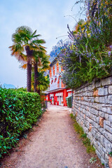 Olive Road along Lake Lugano between Lugano and Gandria, Switzerland