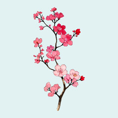 Obraz na płótnie Canvas Cherry blossoms vector watercolor Cherry blossoms branch vector