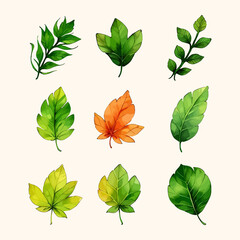 Leaves vector watercolor leaves leaf vector