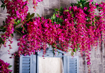 Lush purple flowers blooming against a textured background, adding vibrance to the scene.