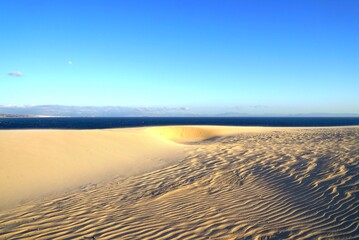 high sandy dune landscape near Valdevaquero with a view towards the Atlantic Ocean, Tarifa, Cadiz,...